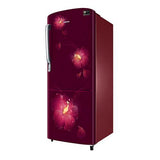 Samsung 230 Ltr 3 Star Direct Cool Single Door Refrigerator RR24M275ZR3 Digital Inverter Technology