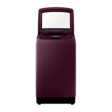 Samsung 6.5 kg- Fully-Automatic Top Loading Washing Machine WA65N4260FF