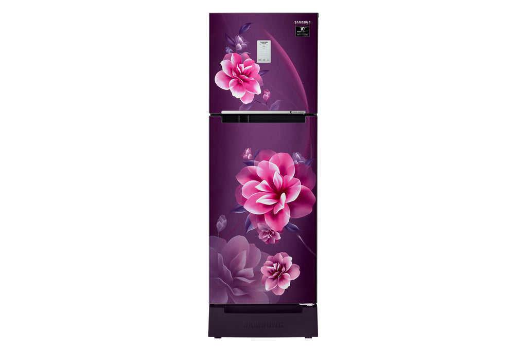 Samsung 244L Curd Maestro™ Double Door Refrigerator RT28A3C22CR